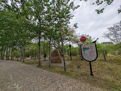 -北京麋鹿生态实验中心