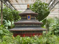 -南宫五洲植物乐园