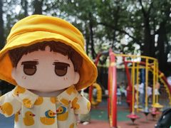 -晓港公园