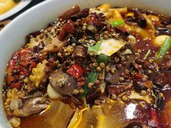 -北平盛世·新京菜·北京烤鸭(劲松·双井店)