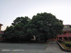 -毛泽东寻乌调查纪念馆