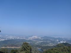 -黄埔油麻山森林公园
