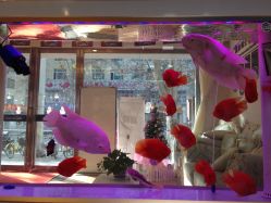 -痘庄科学祛痘国际连锁机构