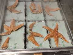 -蓝钻·国际美食海鲜自助百汇(西直门店)