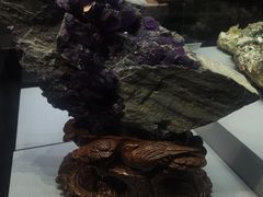 -湖南省地质博物馆