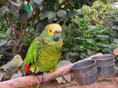 -南宫五洲植物乐园