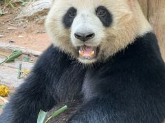 -广州长隆旅游度假区