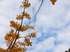 -白塘生态植物园