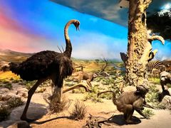 -国家自然博物馆