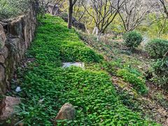-白马涧龙池景区