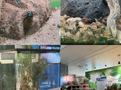 -宁波科学探索中心