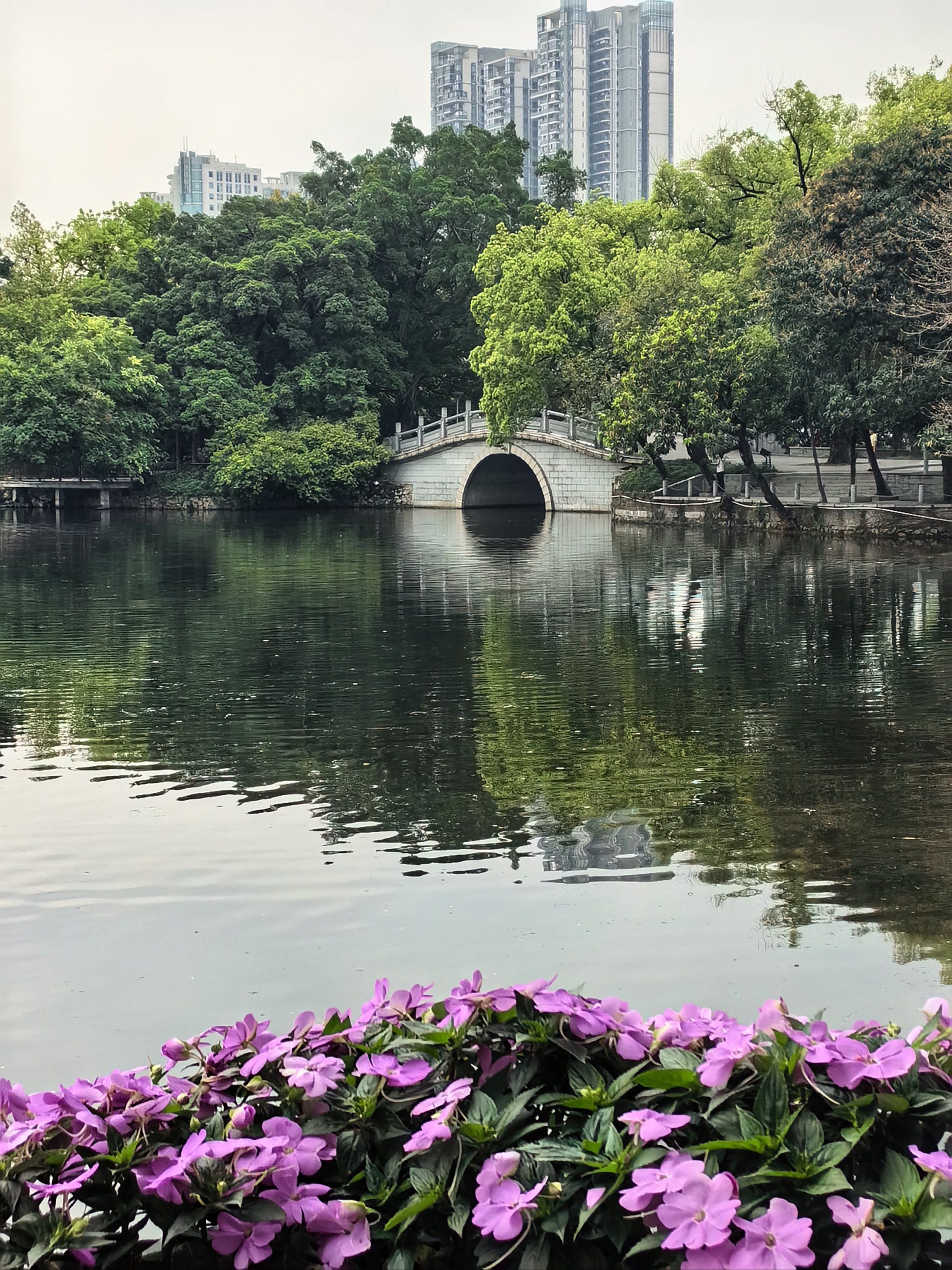 广州免费打卡的宝藏景点!荔湾湖公园!