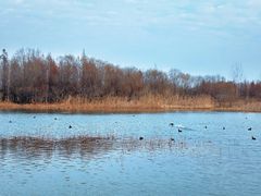 -溱湖国家湿地公园