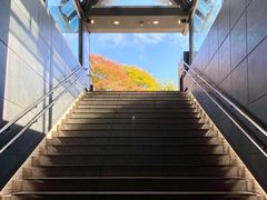 -大阪历史博物馆