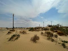 -亿利库布其七星湖沙漠生态旅游区