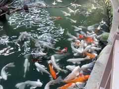 -南宫五洲植物乐园