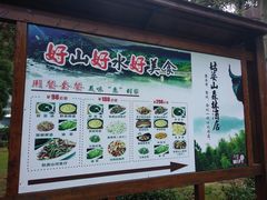 -姑婆山森林酒店