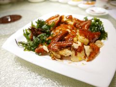 -百乐潮州酒家(时代广场店)