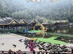-西双版纳原始森林公园