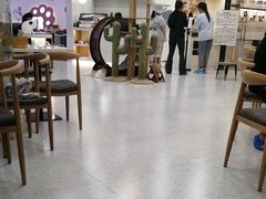 -喵园·猫主题咖啡厅·撸猫·猫咖(国贸店)