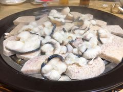 鸭嘴鱼-渔文乐农庄