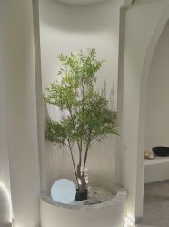 -VE专注问题肌·赛诺龙&科学美肤中心