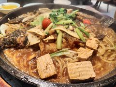 -老板恋上鱼(高新万达店)