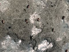 -北海金海湾红树林生态旅游区