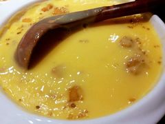 草原鲜奶羹-蒙料·手把肉(望京店)