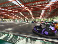 -长白岛森林公园