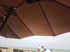 -日照海滨国家森林公园