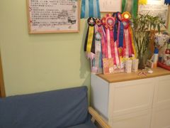 -猫十亿·布偶金渐层·曼基康矮脚猫舍(青年路店)