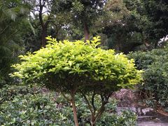 -炮台山公园