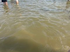 -碧海金沙