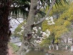-太子山公园(园东路)