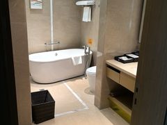 -圣爵菲斯大酒店(长沙世界之窗店)