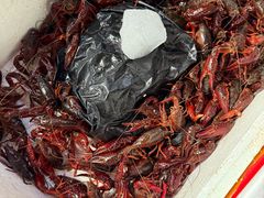 -众彩物流水产市场