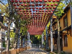 -亭林园-华藏寺