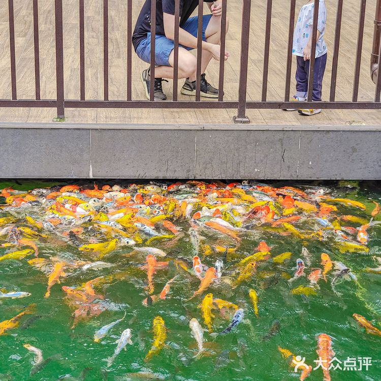 半岛豪苑|花都十几年园林大酒店,宴会好去处
