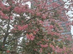 -佛山京华广场MALL