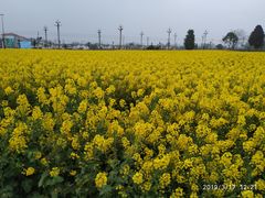 -中国天府农业博览园