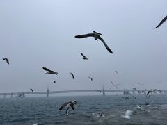 -星海广场