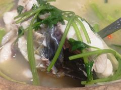 -七采菌园·野生菌石锅鱼(环城北路店)