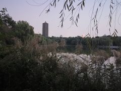 -勺园中餐厅