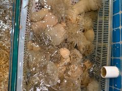 -健眺小海鲜(临海后山店)