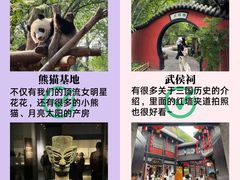 -成都大熊猫繁育研究基地