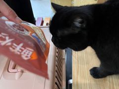 -中农大我爱我爱动物医院·核磁CT·猫病·24小时夜诊中心(石佛营店)
