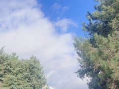 -巴黎迪士尼乐园