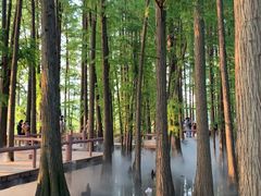 -东湖落雁景区
