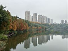 -重庆彩云湖湿地公园
